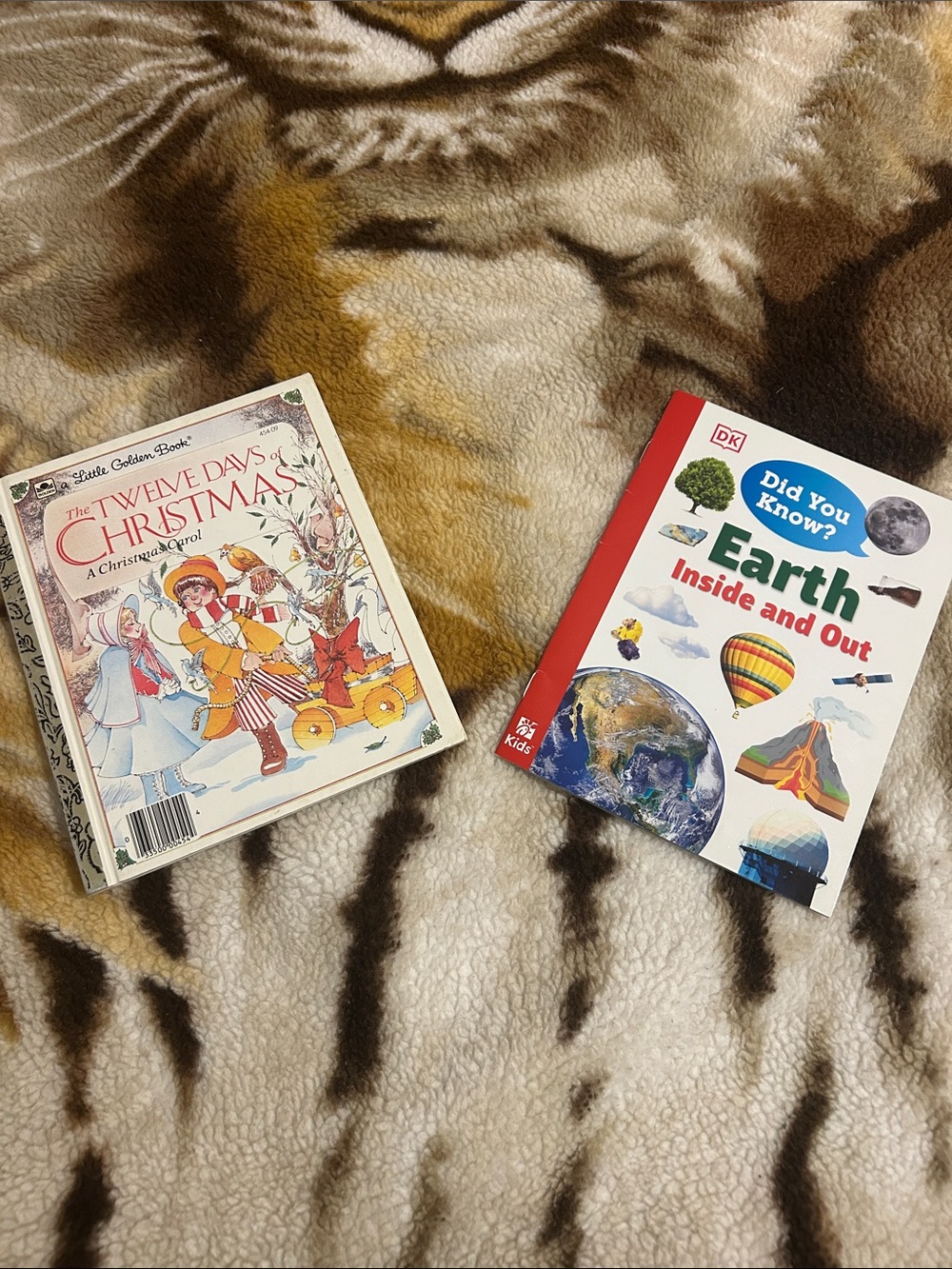 Earth Inside and Out Science Book - The Twelve Days of Christmas Book
